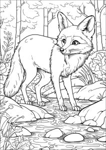 Joli renard dans la forêt