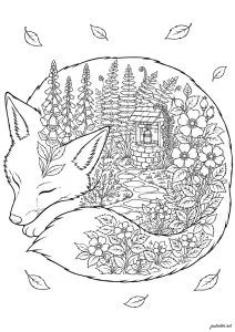 Renard endormi avec un puits