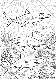 Requins et coraux dans l'océan profond. Trois requins nagent dans un décor océanique riche en coraux, rochers et herbiers marins, avec des rayons de lumière perçant depuis la surface. L'ambiance mystérieuse et aventureuse invite à explorer les profondeurs sous-marines à travers le coloriage.