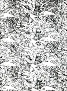 Adultes Serpents Enchevetres 2