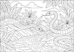 Serpents entre les feuilles géantes