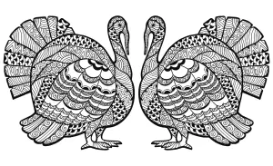 Thanksgiving Zentangle Dinde En Double Par Elena Medvedeva
