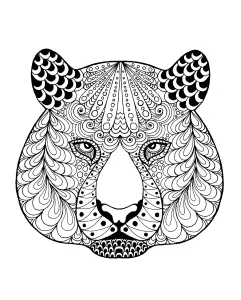 Tete de tigre et motifs