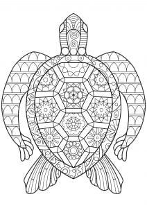 Tortue Zen
