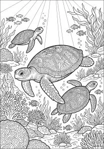 Trois Tortues Marines dans un Récif Corallien
