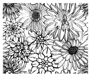 Vintage fleurs diverses
