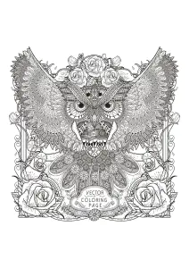 Hibou Zentangle