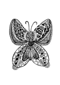 Papillon Zentangle Celine