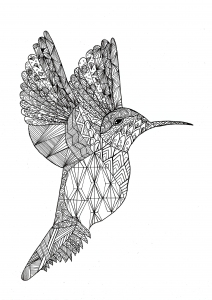 coloriage-colibri-par-chloe