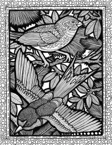 La Ligne Des Oiseaux