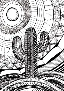 Cactus Sous Le Soleil