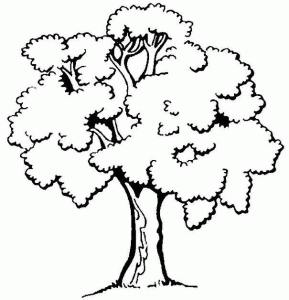Dibujos Para Niños Para Colorear De Árboles