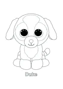 Duke Perro