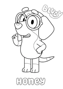 Bluey : Miel