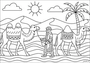 Dibujos para colorear para niños gratis de camellos y dromedarios