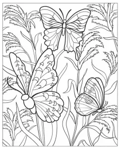 Simple dibujos para colorear gratis de páginas para colorear para adultos para descargar