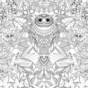 Paginas para colorear para adultos 41232