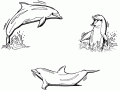 Dibujo imprimible gratis de tres Delfines para colorear