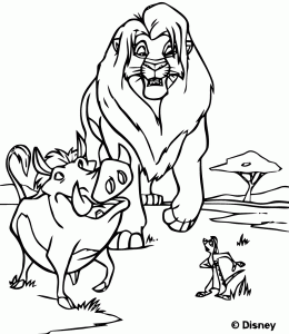 Simba Y Pumba El Facóquero