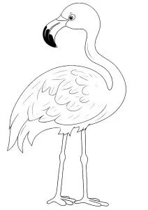 Dibujos Para Colorear Para Niños Gratis De Flamencos Rosados