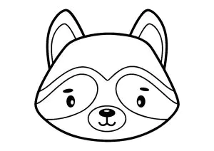 Mapache cabeza