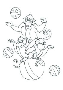 Monos De Circo, Jugando Con Una Gran Pelota