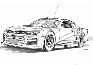 Magnífico coche Nascar