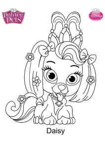 Baisy