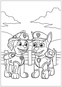 PAW Patrol, Patrulla de cachorros: Dos amigos: Chase y Rocky