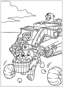 Paw Patrol, Patrulla De Cachorros: La Cosecha Fue Buena