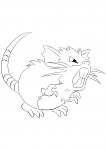 <b>rattatac</b>  Nº 20 : Pokémon De La Generación I