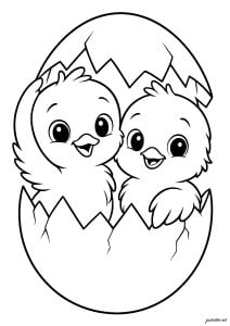 Dibujos Para Colorear De Pollo Para Imprimir
