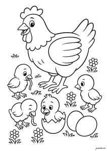 Dibujos Para Colorear Para Niños De Pollo