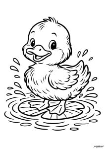 Dibujos Para Colorear De Pollo Para Niños