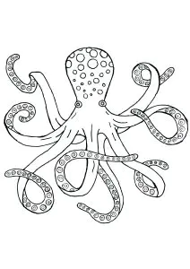 Dibujos Para Colorear De Pulpos Para Imprimir