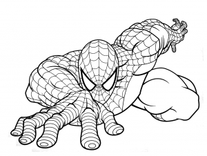 Dibujo gratis de Spiderman para imprimir y colorear