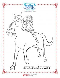 Spirit 52216
