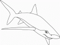 Dibujo Gratis De Tiburón Para Imprimir Y Colorear