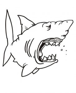 Dibujos para colorear para niños gratis de Tiburones - Tiburones - Just  Color Niños : Dibujos para colorear para niños