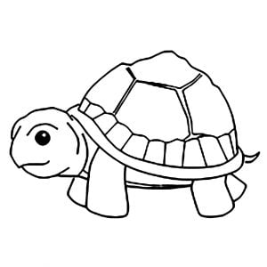 Tortugas para colorear para niños