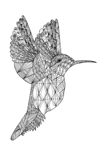 Dibujos Para Colorear Gratis De Zentangle Para Imprimir Y Colorear