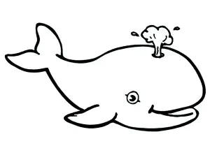 Desenho Muito Simples Para Colorir De Uma Bela Baleia A Evacuar A água