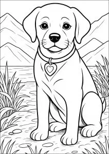 Cão Com Coleira Em Forma De Coração