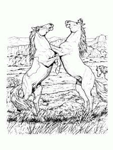 Desenho de Cavalo de competição para Colorir - Colorir.com