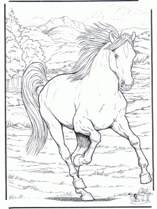 Cavalo para colorir