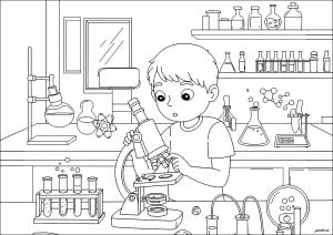 Observação microscópica