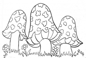 Imagem de cogumelo para descarregar e colorir