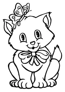 Gatinho E Borboleta