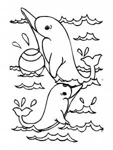 Desenho de golfinhos grátis para descarregar e colorir