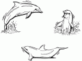 Desenho de três Golfinhos para imprimir e colorir gratuitamente